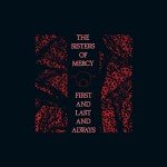First and Last Always Collection (Digital Edition)