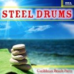 Caribbean Beach Party Steel Drum Music