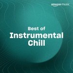 Chill Instrumental Music Playlist Collection