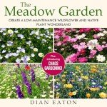 Wildflower Garden: A Low-Maintenance Nature Retreat