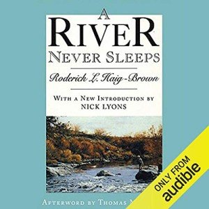 A River Never Sleeps: Stream Anytime, Anywhere