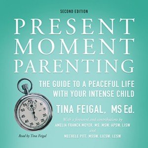 Peaceful Parenting for Your Intense Child Guide
