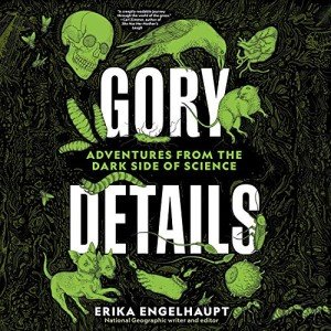 Gory Details: Thrilling Horror Streaming Experience