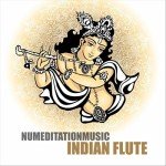 Enchanting Indian Flute Music Streaming Service