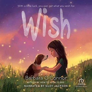 Wish Streaming Service: Movies, TV Shows, and Music