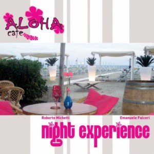Chill Vibes Night Streaming Experience
