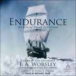 Endurance: Polar Adventure Streaming Experience