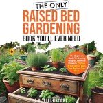 Essential Guide to Raised Bed Gardening for Beginners