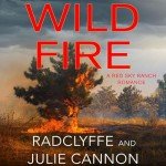 Wild Fire: Unleash the Heat in Streaming
