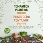 Companion Planting for Organic Garden Success