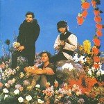 The Discovery of Brazil: A Streaming Experience