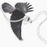 He’s Not Coming Back - Streaming Now