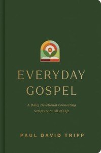 Everyday Gospel: Daily Devotional for Life's Journey
