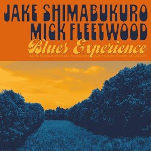 Blues Music Streaming Experience