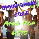 Vibe: Your Ultimate Streaming Experience