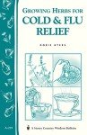 Herbs for Cold and Flu Relief Guide