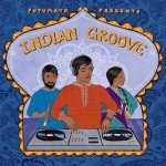 Putumayo Presents Indian Groove