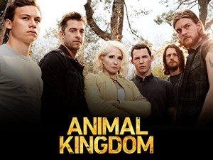 Animal Kingdom: A Gripping Streaming Adventure