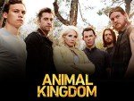 Animal Kingdom: A Gripping Streaming Adventure