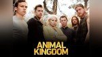 Animal Kingdom: A Gripping Streaming Adventure