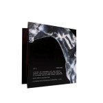 Beyoncé - RENAISSANCE Limited Edition 180G Vinyl 2LP