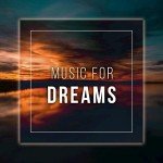 Dreamy Music Playlist for Relaxation