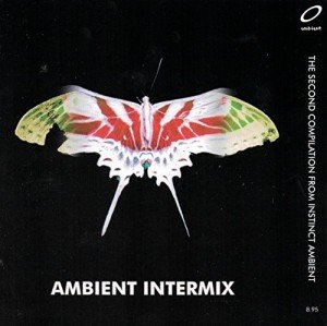 Chill Vibes: Ambient Streaming Playlist Experience