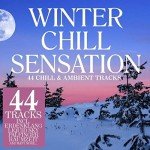 Winter Chill Vibes: 44 Ambient Music Tracks