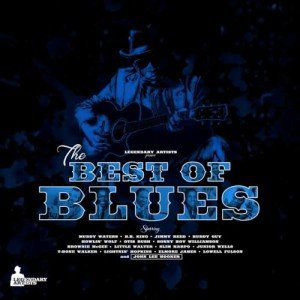 Top Blues Hits - Various Artists Collection
