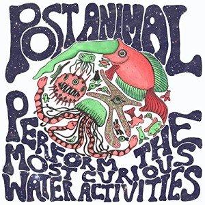 Post Animal: Curious Water Activities Performance