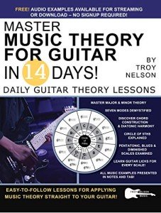 Learn Guitar Theory in 14 Days!