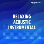 Calming Acoustic Instrumental Music for Streaming