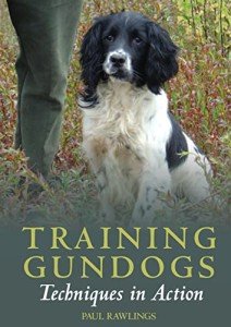 Gundog Training: Effective Techniques for Success