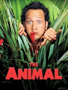 Animal: A Must-See Streaming Experience