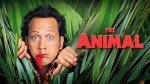 Animal: A Must-See Streaming Experience