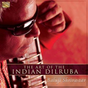 Discover the Soul of Indian Dilruba Music