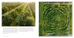 Feed the Planet: A Visual Food Adventure