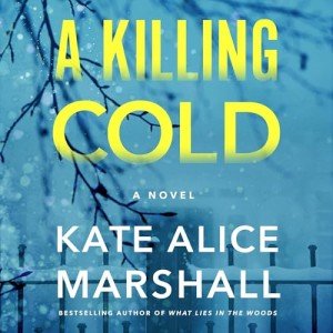 A Killing Cold: Thrilling Audio Novel Experience