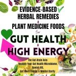 Herbal Solutions for Gut Health and Energy