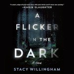 A Flicker in the Dark - Streaming Movie