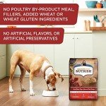 Nutrish Real Beef Pea & Rice Dog Food 6 lb