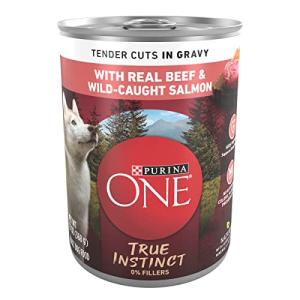 Purina ONE SmartBlend Natural Dog Food, Beef & Salmon