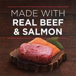 Purina ONE SmartBlend Natural Dog Food, Beef & Salmon