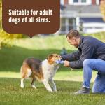 Rachael Ray Nutrish Weight Management Dog Food, Turkey & Pumpkin