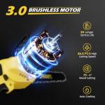 Cordless 2-in-1 Pole Saw and Mini Chainsaw