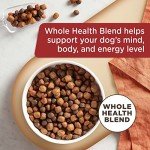Rachael Ray Nutrish Natural Beef & Brown Rice Dog Food