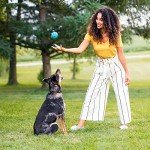 Rachael Ray Nutrish Natural Beef & Brown Rice Dog Food