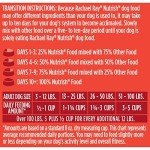 Rachael Ray Nutrish Natural Beef & Brown Rice Dog Food