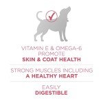 Purina One SmartBlend Sensitive Systems Dog Food