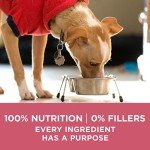 Purina One SmartBlend Sensitive Systems Dog Food